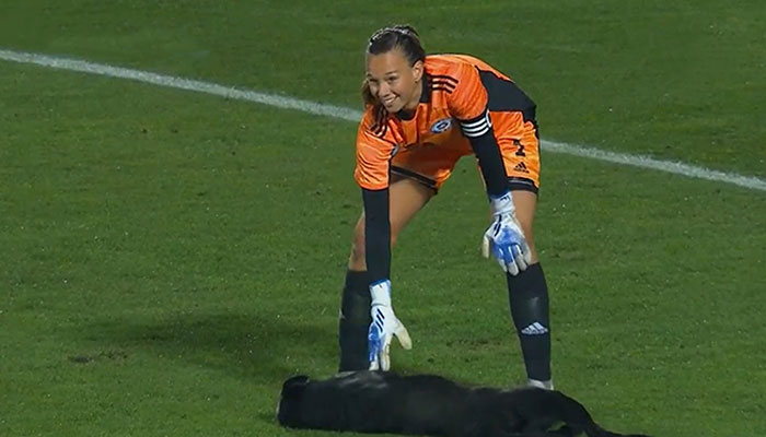 Dog-Interrupts-Football-Match-For-Belly-Rubs