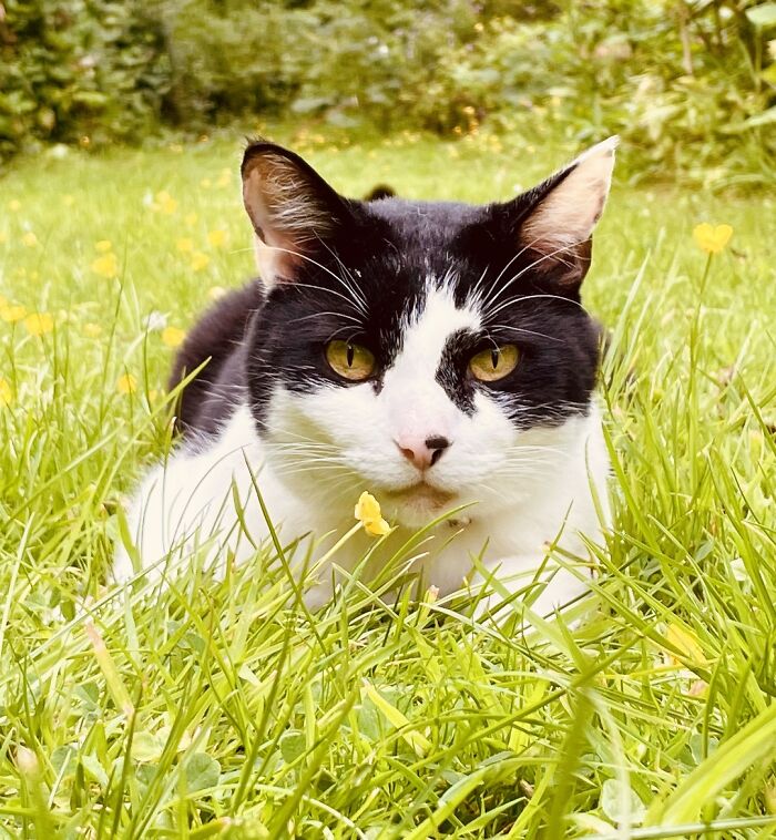 This Boy Loves The Thrill Of The Chase And Eating Out (And Butter)