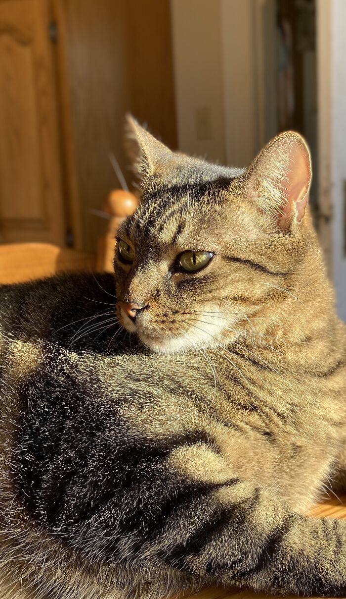 Bonjour Mademoiselle