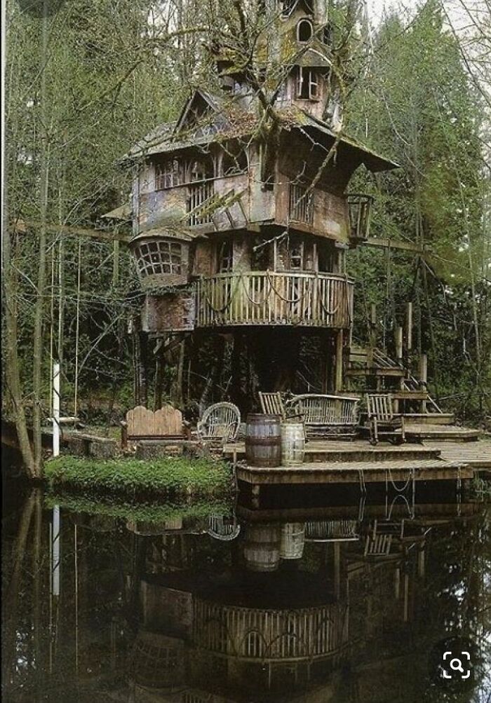 Abandoned Tree House Redmond Washington D.C
