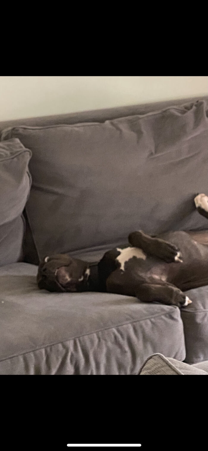 He Can Be A Weirdo Sometimes!