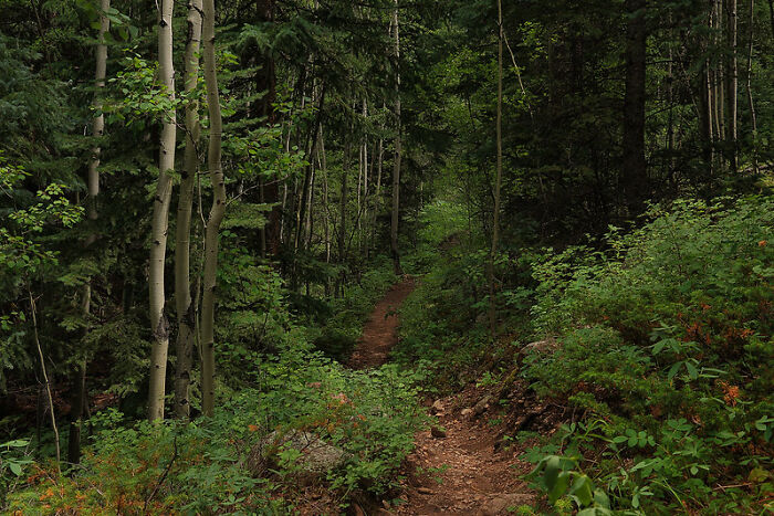 “What Is A Little-Known Fact That Can Save You From A Life-Threatening Situation?” (30 Answers)