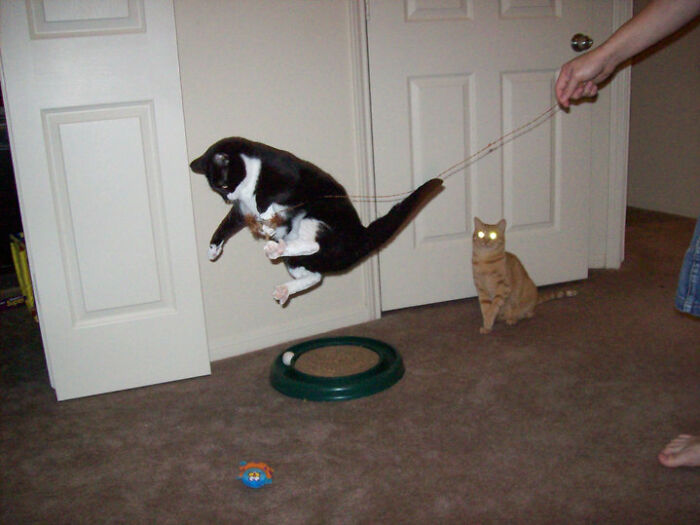 Active Couple Looking For Others