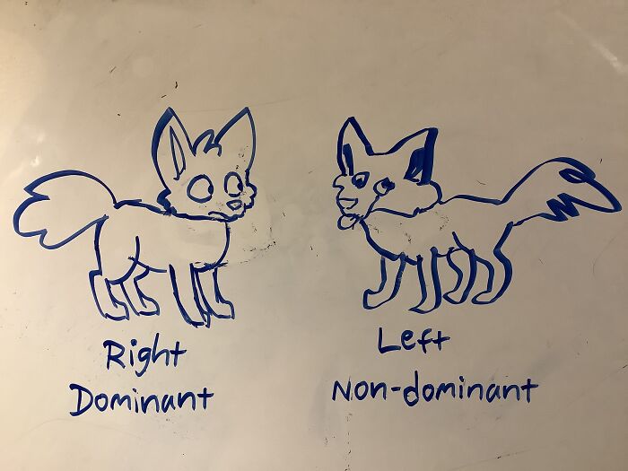 Some Foxes Or Something, I Don’t Know Exactly What They Are