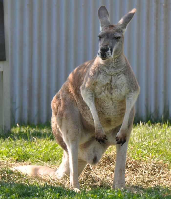 25 Cosas que nunca deberías hacer al visitar estos países, compartidas en esta comunidad online