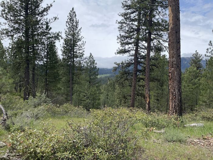 Not My House But ,y Cabin. I Am Thankful For All Up There