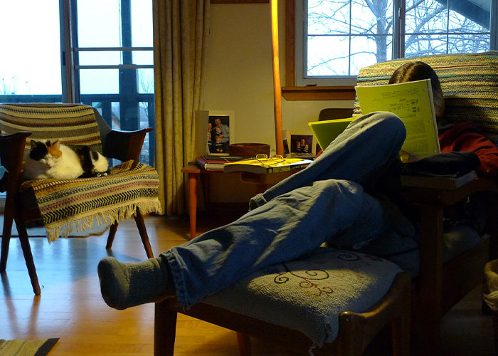 People Feel Like They&rsquo;re &ldquo;Unlocking 100% Of Their Brains&rdquo; By Using The Bionic Reading Font