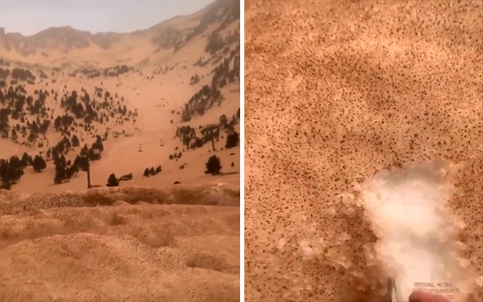 Arena del Sáhara cubriendo la nieve en Europa