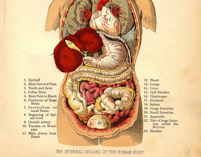 "¿Cuál es un 'dato divertido' que no es divertido en absoluto?": 20 respuestas