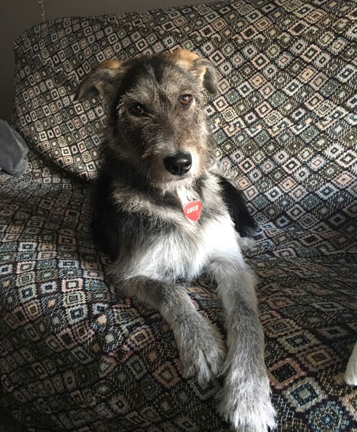 I’m Sexy And I Know It