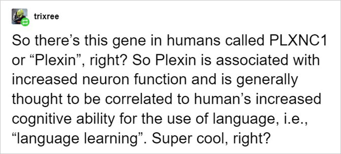 Netizens Are Loving This Humorous Tumblr Post Dedicated To The Intellectual Contrast Between Crows And Keas