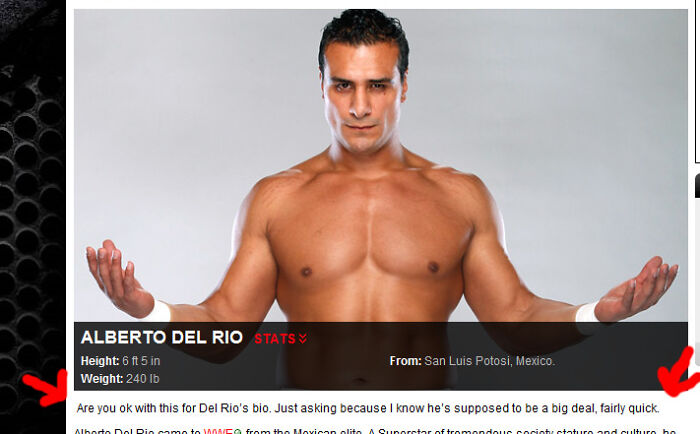 Bio For Wrestler On Wwe.com