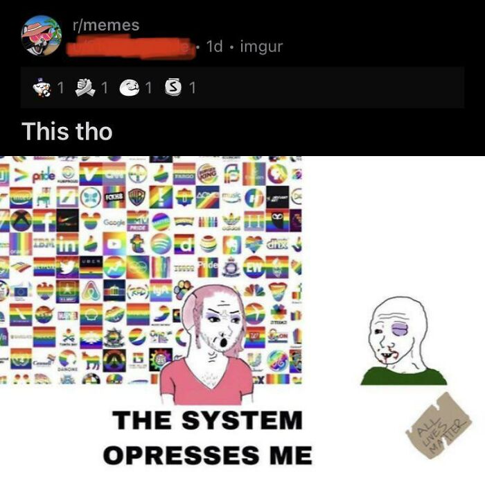 Equality Is When Rainbow Pfp /S