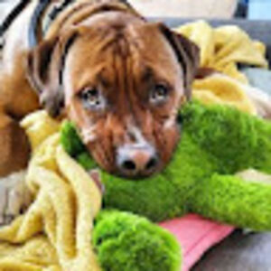 joshuaepperson avatar