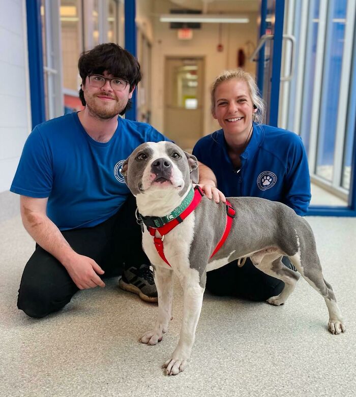 Update: Ollie Got Adopted!!! 💙