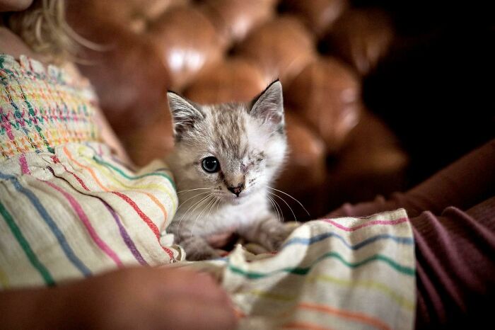 Not One Adoption App For This Perfect Girl 