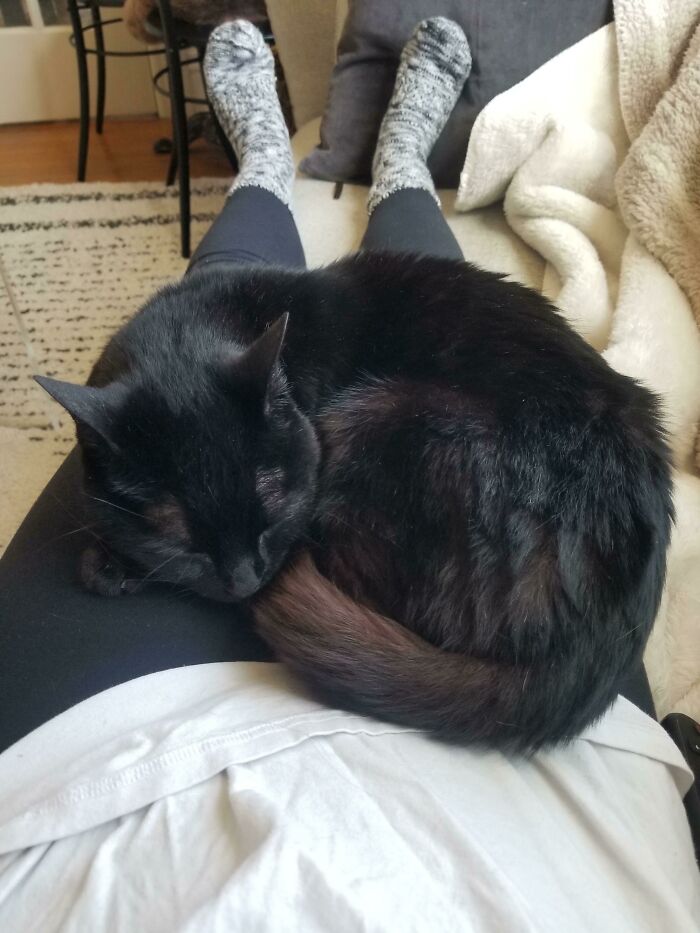 Meet Jiji! My Freshly Adopted 10 Year Old Void