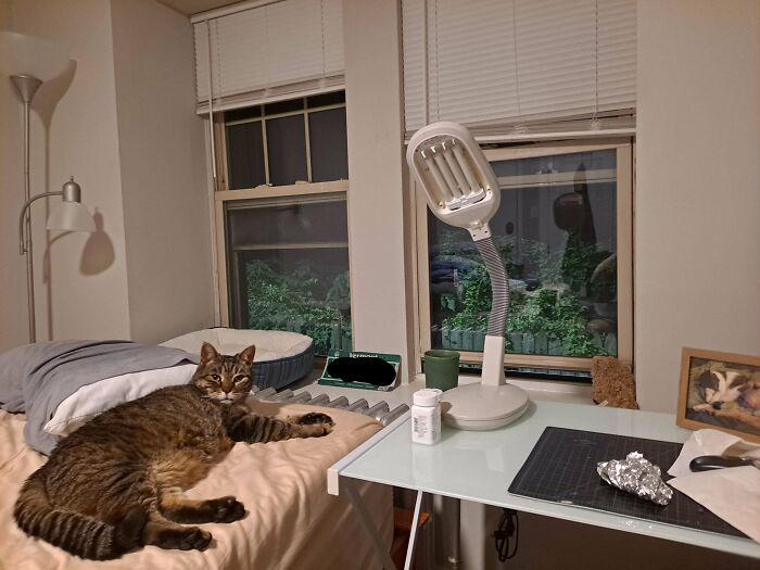 Adopted This Incredibly Sweet 14yo Boi This Past Weekend. He Was Just What I Needed, And I Was Just What He Needed