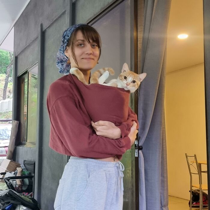 Pumpkin. From Rescued Stray To "I'm Just A Baby."