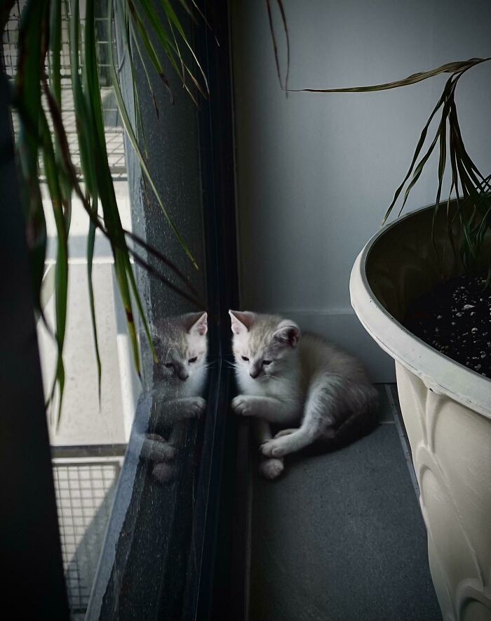 Rescued Him 5 Days Ago