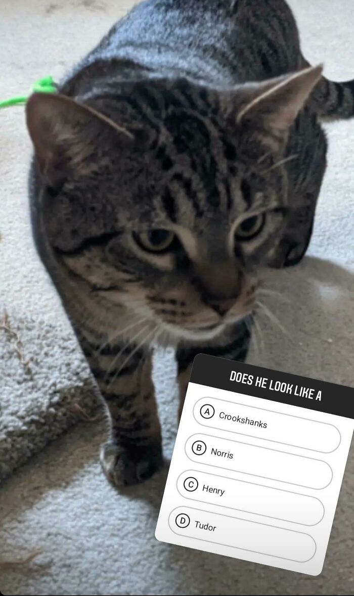 I Adopted An Older Boy And Have Narrowed The Names Down- Help?