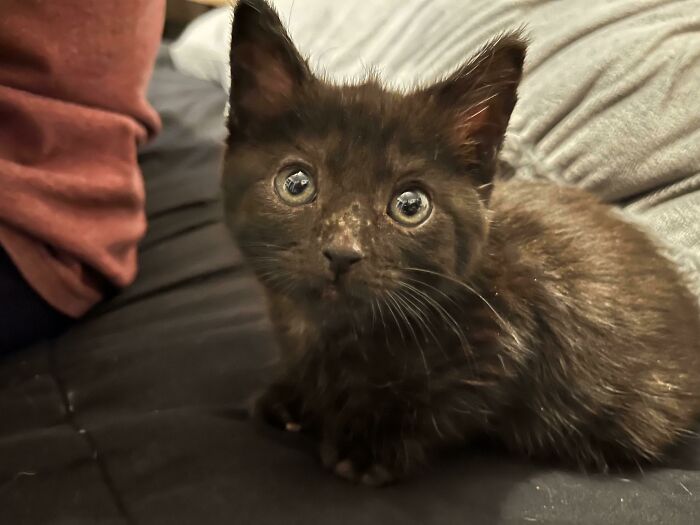 Recently Adopted This Little Girl And Need Help Picking A Name!!!