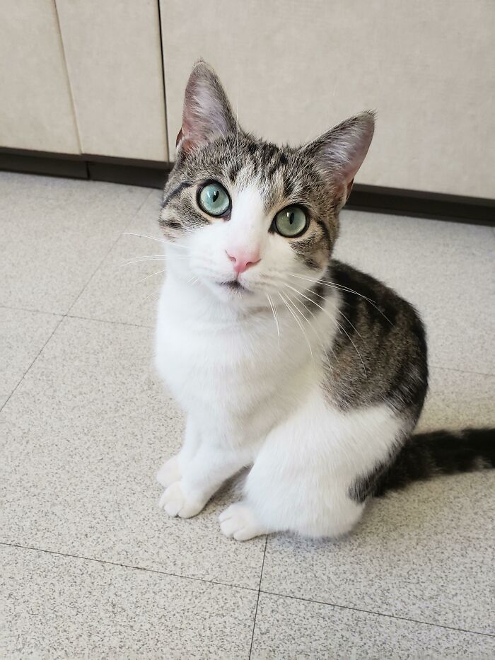 8 Month Old I Adopted Today. Her Name Is Noodle