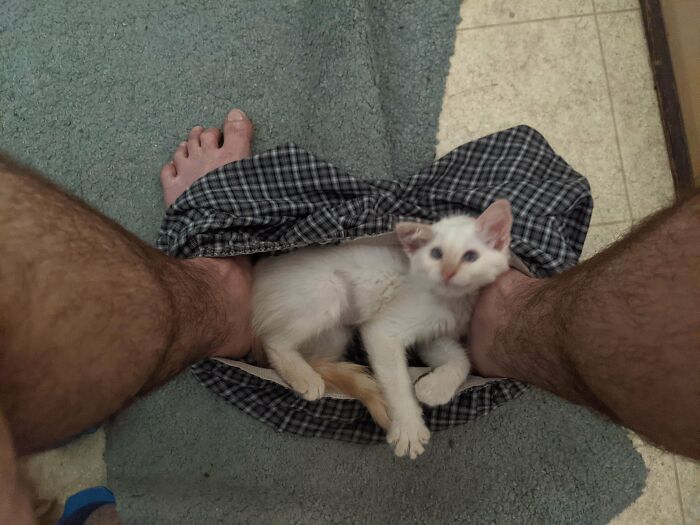 The Best Part About Adopting An Animal Is Never Having Personal Space Again