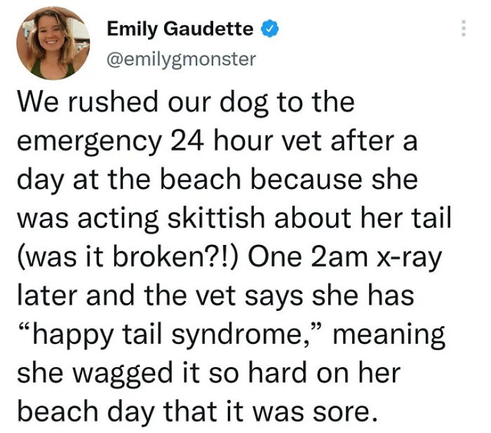 Dogs Can Have Happy Tail Syndrome