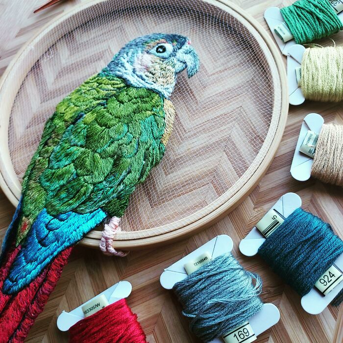 Green Cheek Conure On Tulle. The Little Feet Tickle Me Pink. Beth Carroll Art