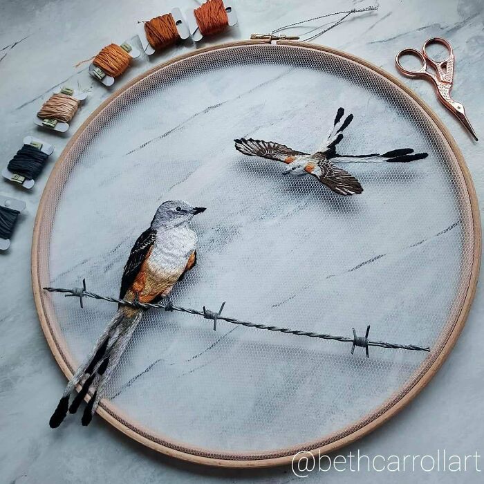 Un pájaro en una alambrada