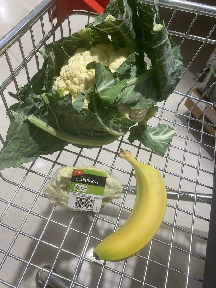 I Know Things Are Getting Smaller But Really?