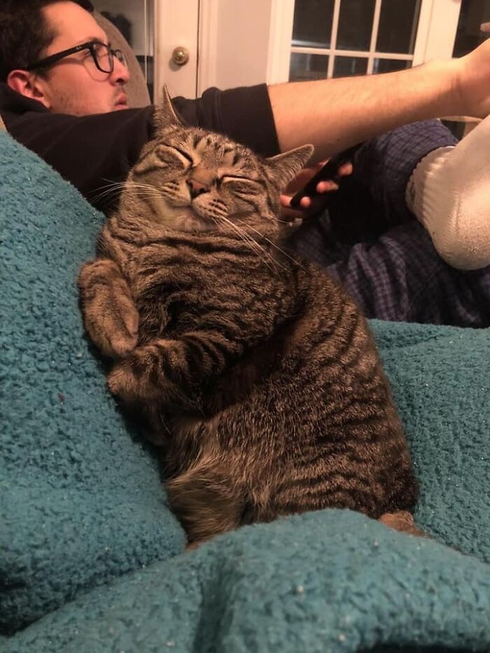 50 Times Cats Had Such ‘Powerful Auras’, Their Owners Just Had To Take A Pic