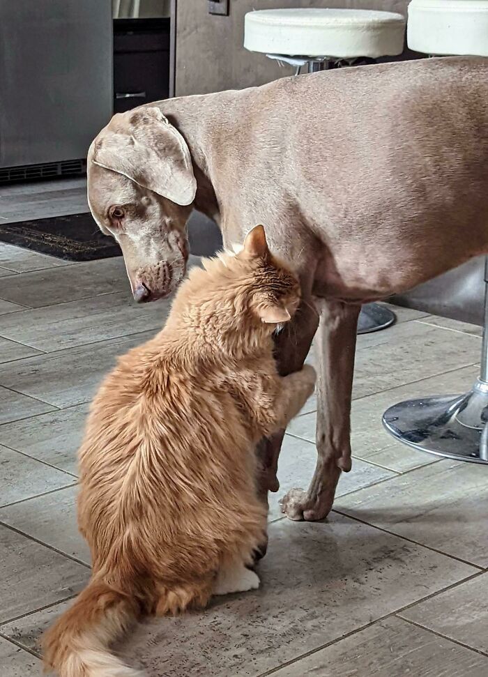 These 2 Tolerate Each Other