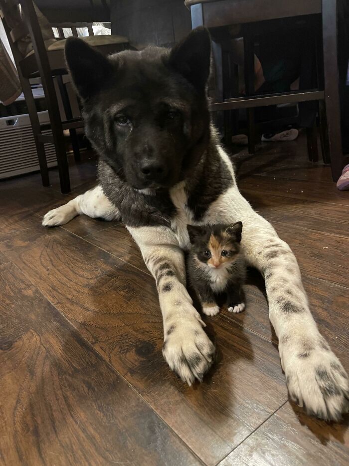 Best Friends Overnight