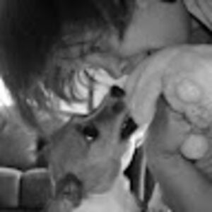 juliannahamilton avatar