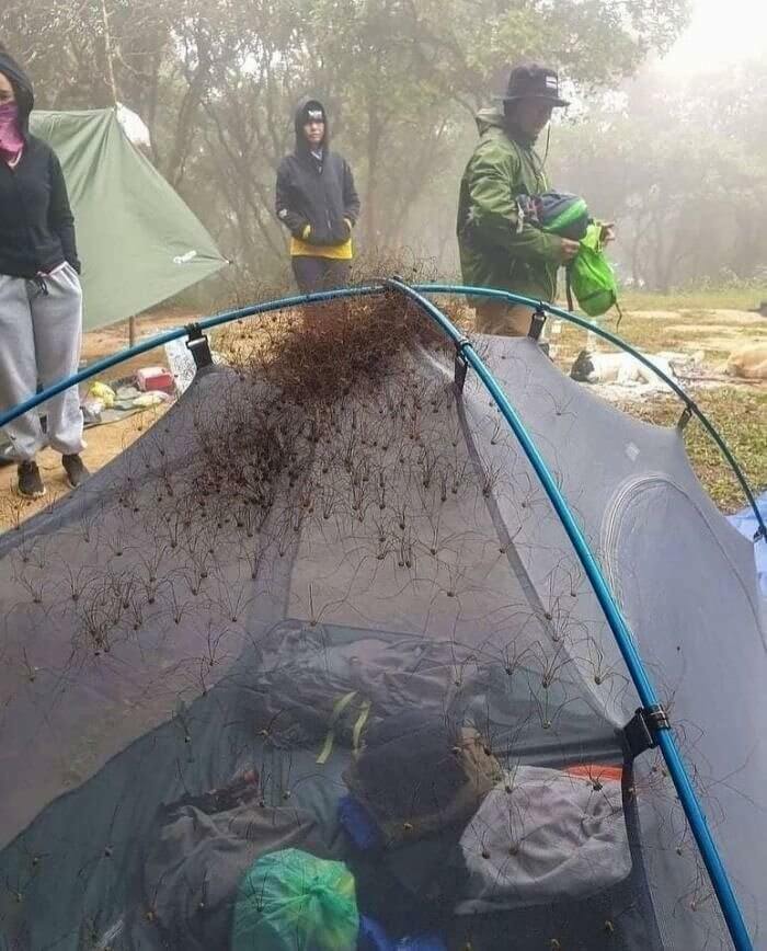 Será divertido pasar la noche de acampada, decían...