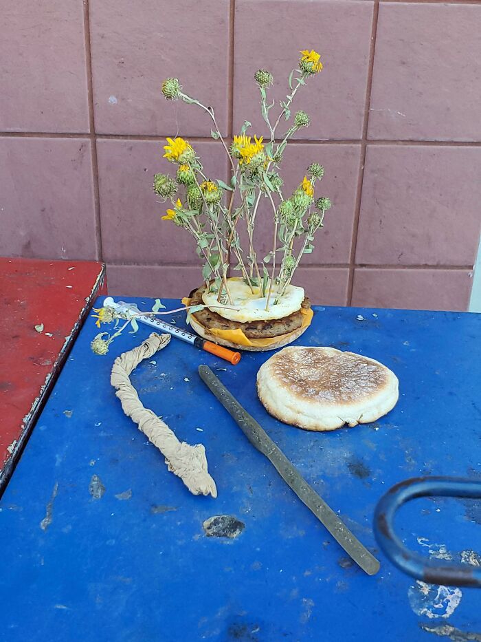 This Was Outside A Dollar Tree, In Sacramento