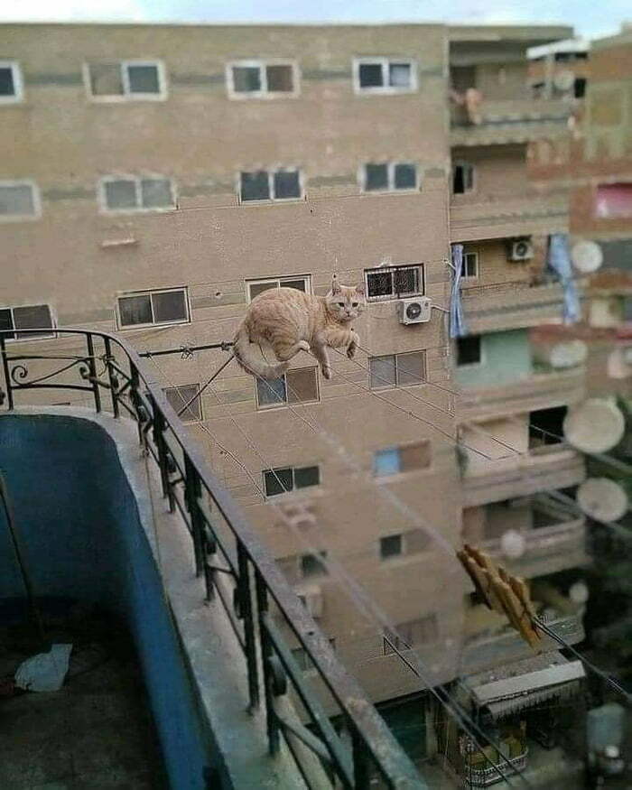 No estoy en peligro, yo soy el peligro