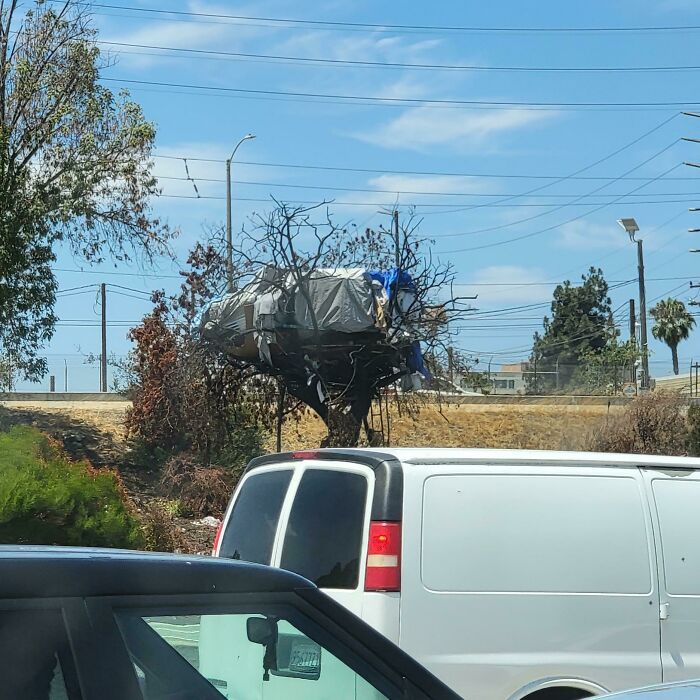 Homeless Encampment Treehouse In Los Angeles