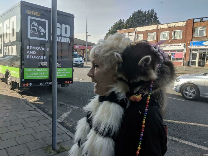 Yes It's A Woman Walking Down The Street With A Pet Racoon. Never Seen Anything Like It In The UK