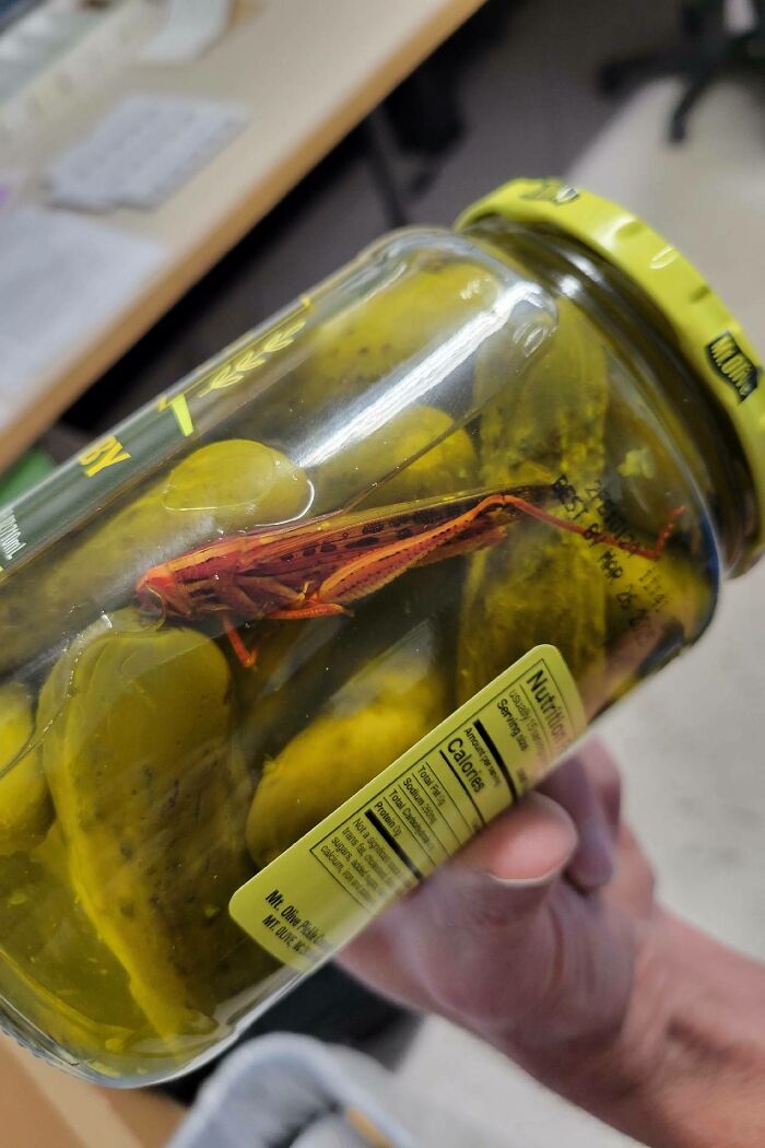 Did Some Maintenance At A Supermarket. They Showed Me A Return They Got Today