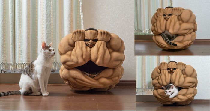 Imagine Seeing This Cat Bed In A Stranger's House At Night