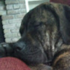 nobodymatters avatar