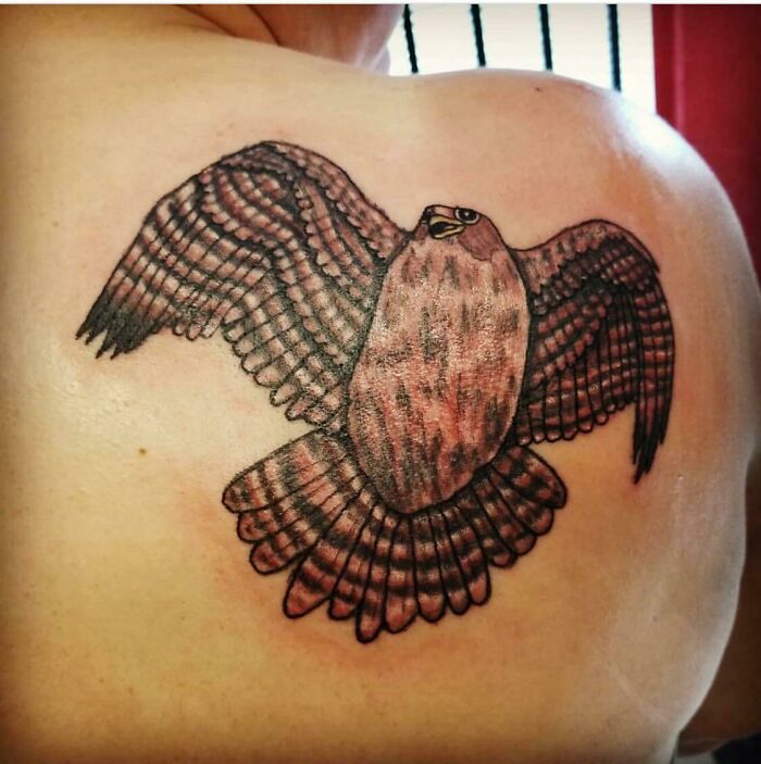 Poorly-done tattoo of a bird on a person's back, showcasing worst tattoo art craftsmanship.