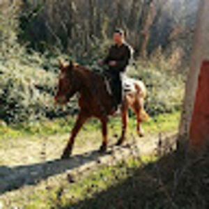 giulioballoni avatar