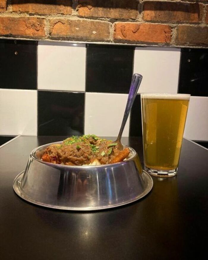 Best Poutine But In A Dog Bowl