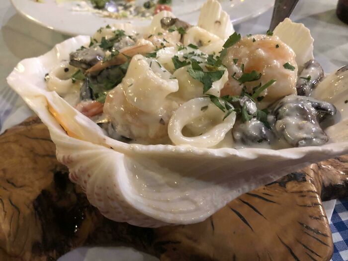 I Thought The Shell Was Cute But It Was Annoying Af To Eat Out Of