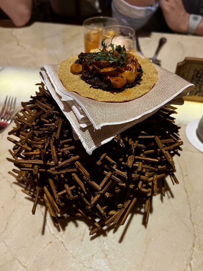 Guess I’ll Eat My Appetizer Off Of A Birds Nest