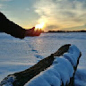 annagottschalk avatar